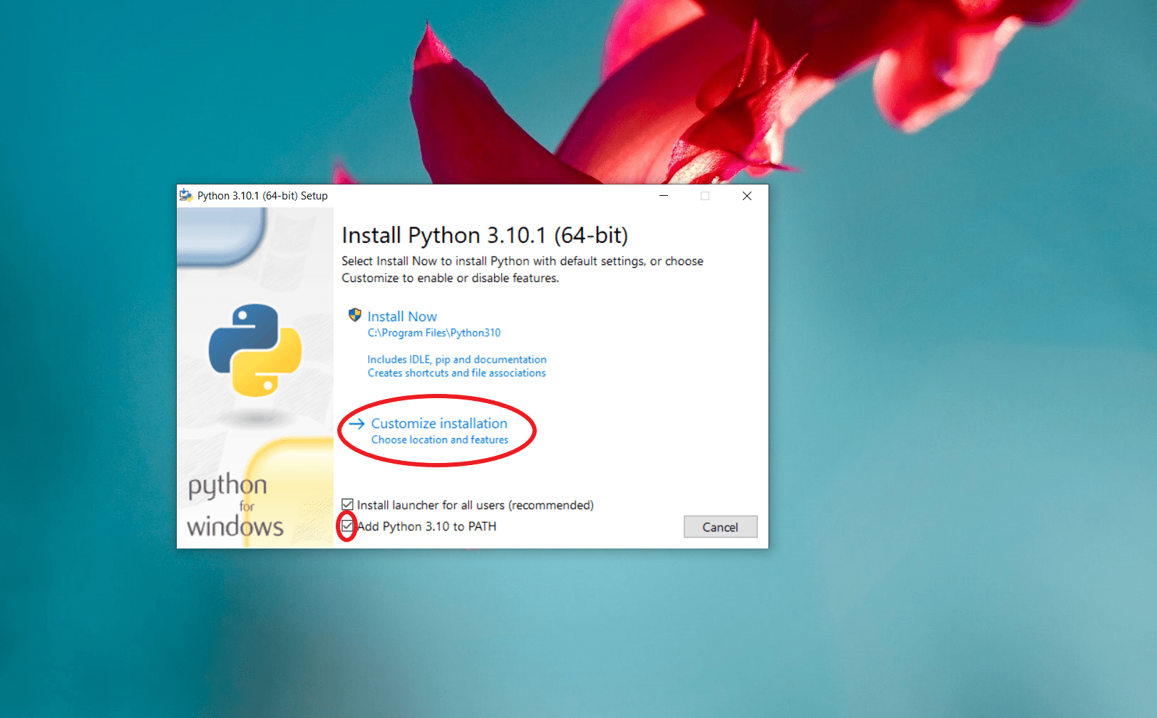 python install step1