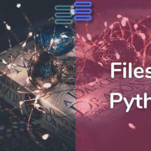 Read more about the article File Handling In Python: Your Dream Your Way