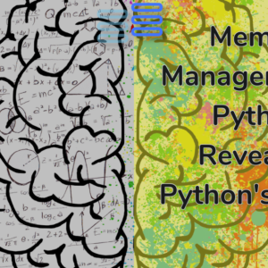 Read more about the article Memory Management In Python: Revealing Python’s Secret