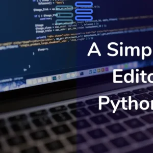 Read more about the article Day 14: A Simple Text Editor In Python CTk