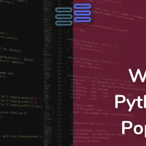 Read more about the article 5 Reasons Why Is Python So Popular In 2024?