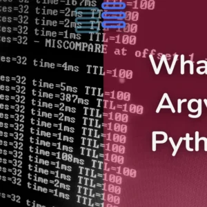 Read more about the article What Is Argv In Python?