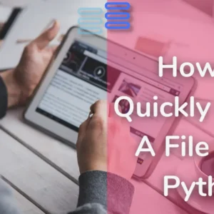 Read more about the article How To Quickly Create A File With Python