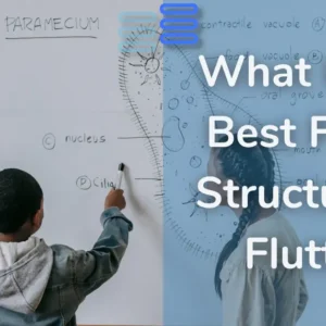 Read more about the article What Is The Best Folder Structure Of Flutter?