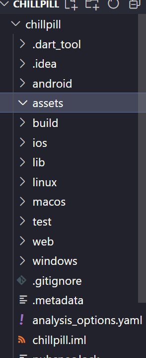 folder structure of Flutter