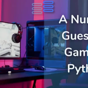 Read more about the article How To Build  Number Guessing Game Using CustomTkinter In Python?