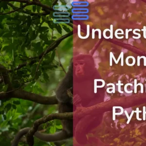 Read more about the article Question 16: Understanding Monkey Patching in Python