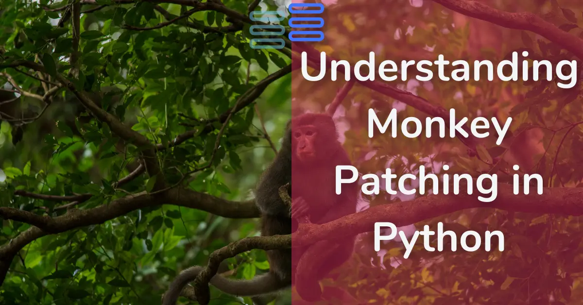 Read more about the article Question 16: Understanding Monkey Patching in Python